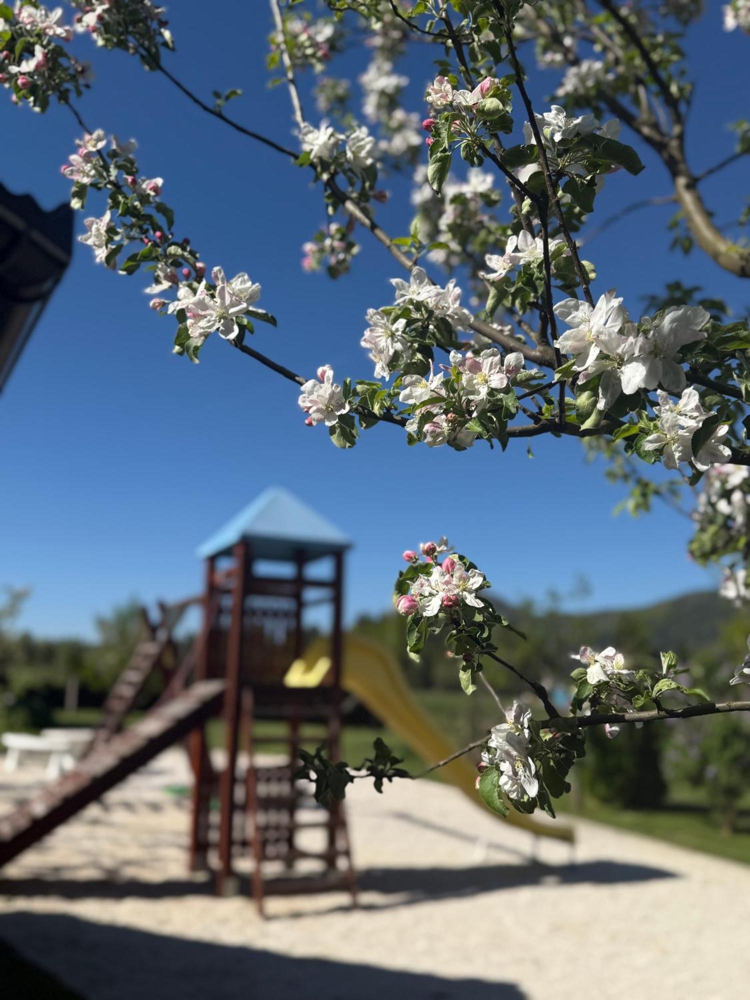 Plitvice Pension Perisic Korenica Kültér fotó